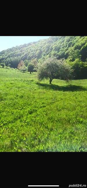 vand teren intravilan