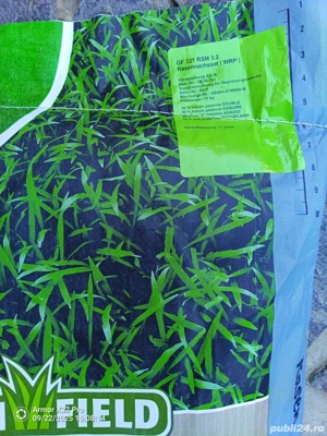 Samanta Gazon Premium