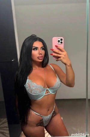 new trans! doar deplasari sau show web!