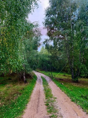 Teren 7,350mp Bulz / Drumul Secundar - imagine 3