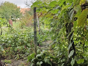 Casa de vanzare Gheorghe Doja - imagine 18