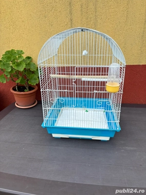 Vand Colivie cu Pui de Papagal Kakariki - imagine 3 Vand Colivie cu Pui de Papagal Kakariki - imagine 3