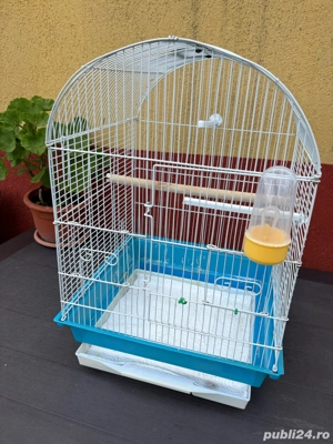 Vand Colivie cu Pui de Papagal Kakariki - imagine 5 Vand Colivie cu Pui de Papagal Kakariki - imagine 5