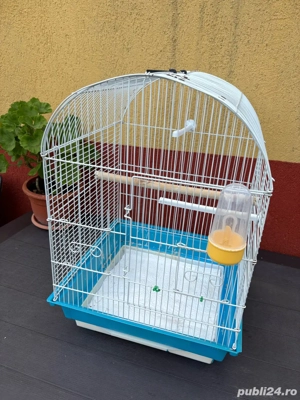 Vand Colivie cu Pui de Papagal Kakariki - imagine 4 Vand Colivie cu Pui de Papagal Kakariki - imagine 4