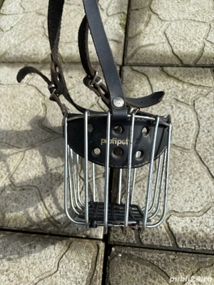 Vand Botnita din Fier - imagine 2