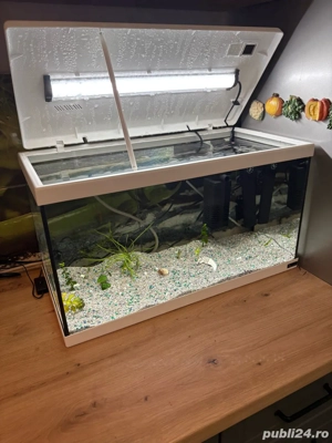Vand Acvariu Complect de 60 Litri - imagine 4