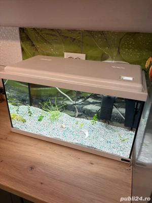 Vand Acvariu Complect de 60 Litri - imagine 2