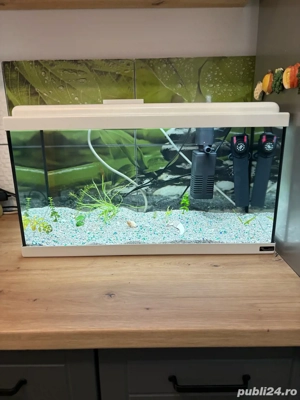 Vand Acvariu Complect de 60 Litri - imagine 5