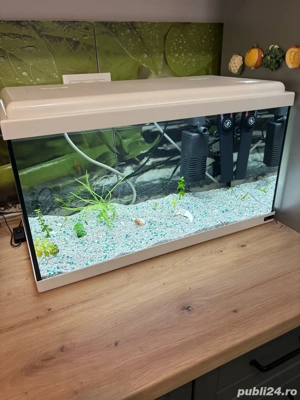Vand Acvariu Complect de 60 Litri