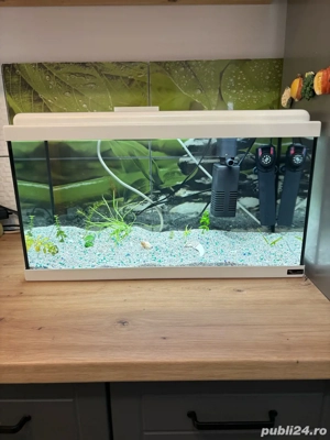 Vand Acvariu Complect de 60 Litri - imagine 3