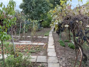 CI599 Lunei,casa individuala,centrala - imagine 6