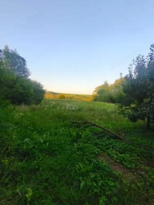 Casa individuala, 3500mp teren, zona Negostina, Siret - imagine 5