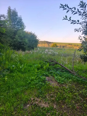 Casa individuala, 3500mp teren, zona Negostina, Siret - imagine 6