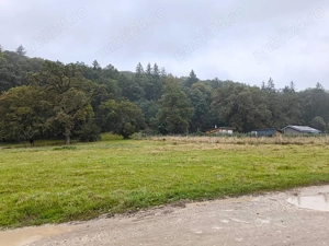 Teren intravilan de vânzare 2.000 mp, Cristian - Brașov. - imagine 5