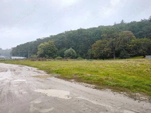 Teren intravilan de vânzare 2.000 mp, Cristian - Brașov. - imagine 10