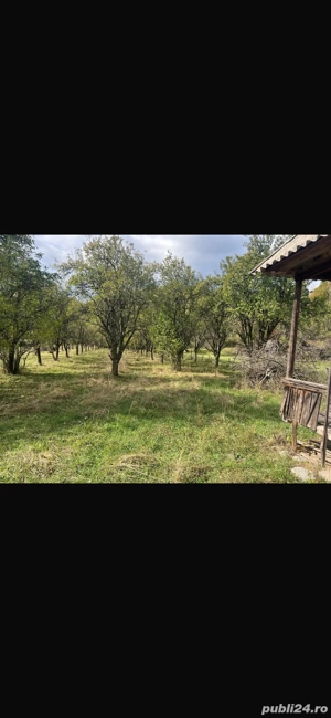 Vand teren cu constructie din 1930 - imagine 5