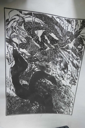 Suzana Fântânaru - DRAGONUL - Exemplar Artist - Gravura 1989 - 70 50cm