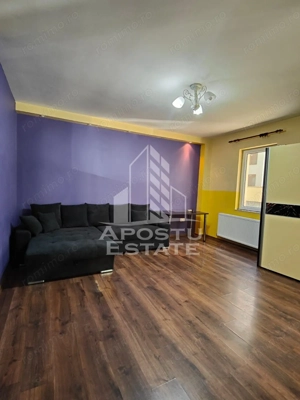 Apartament 1 camera,centrala proprie Aradului