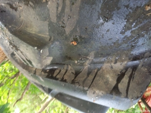 De vanzare roata fata cllas comandor  - imagine 2