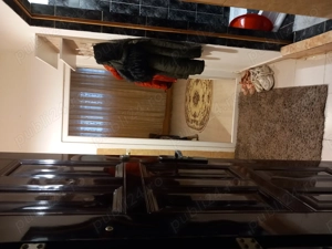 Inchiriez garsoniera 