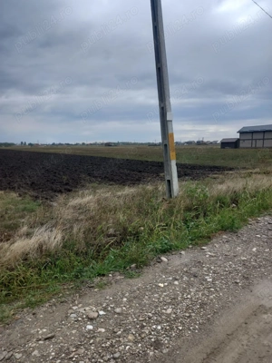 Teren intravilan Maracineni - imagine 4