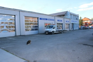 Service Auto Modern și Eficient Energetic în Targu Jiu - imagine 9