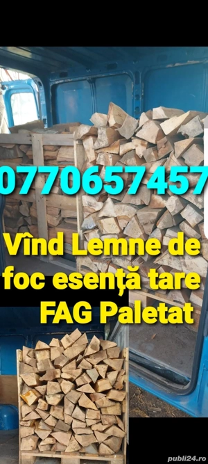 Vînd Lemne de foc USCATE Stejar Fag Paletat 
