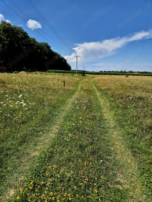 Comision 0%, intravilan 1000 mp, Sambata de Sus, Brasov - imagine 6