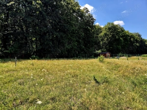 Comision 0%, intravilan 1000 mp, Sambata de Sus, Brasov - imagine 2