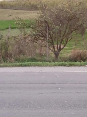 Vând teren intravilan in Bunesti, jud. Cluj - imagine 2
