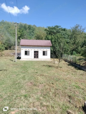 Vând casa de locuit lângă Hațeg,  jud  Hunedoara . - imagine 5