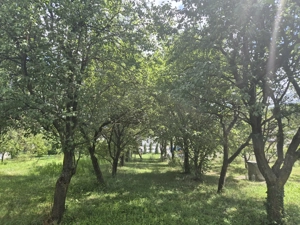 Casa cu livada Breaza - imagine 2