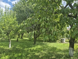 Casa cu livada Breaza