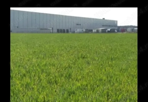 Vând terenuri industriale  - imagine 5