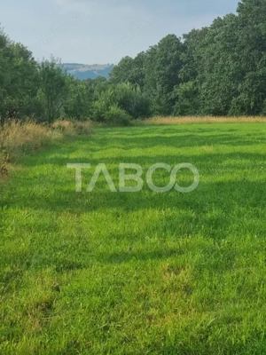 Teren pretabil cabana sau gradina 1670 mp zona deosebita Sibiel - imagine 3