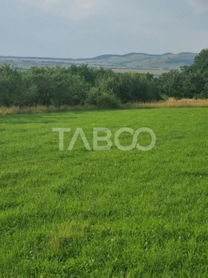 Teren pretabil cabana sau gradina 1670 mp zona deosebita Sibiel