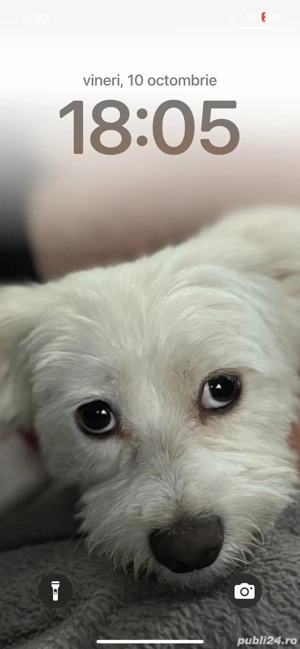 Caut sa inchiriez apartament cu 2 camere orice zona