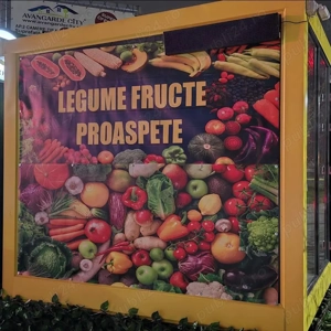 Vand afacere la cheie Chiajna - Sector 6 - imagine 5