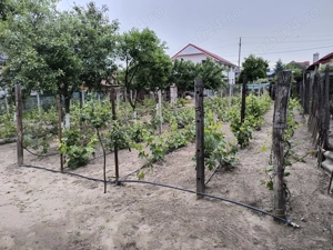 Casa de vânzare Craiova cart.Facai - imagine 3