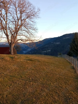 Teren locatie cu panorama superba Scarisoara-Alba - imagine 3