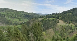 Teren locatie cu panorama superba Scarisoara-Alba