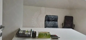 DE INCHIRIAT MANSARDA IN VILA NOUA/ BIROURI/ ULTRACENTRAL - imagine 5