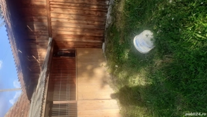 Casă la țară de vânzare  - imagine 4 Casă la țară de vânzare  - imagine 4