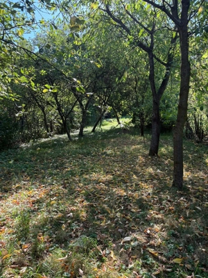 Casă de vanzare - Zona liniștită  - imagine 7