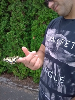 Caut cuplu, fată pt aventură, swing, relație serioasă 