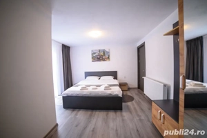 Cabana Arieseni cu ciubar Cazare Vartop - imagine 3