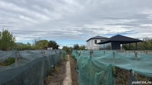 vand teren Cârcea  - imagine 3