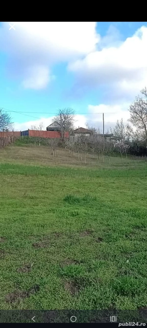 1000 teren intravilan in Trestiana 