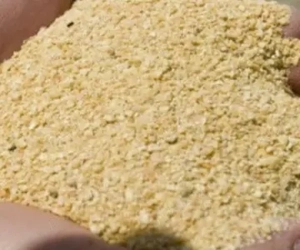 Srot soia proteina 46,7 %