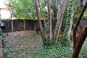 Casă individuală, zona Iosefin - imagine 4